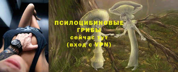 PSILOCYBIN Богородицк