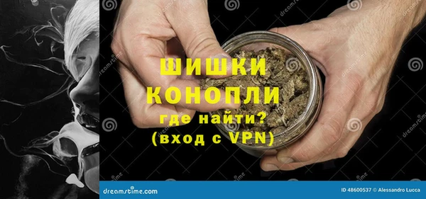 PSILOCYBIN Богородицк